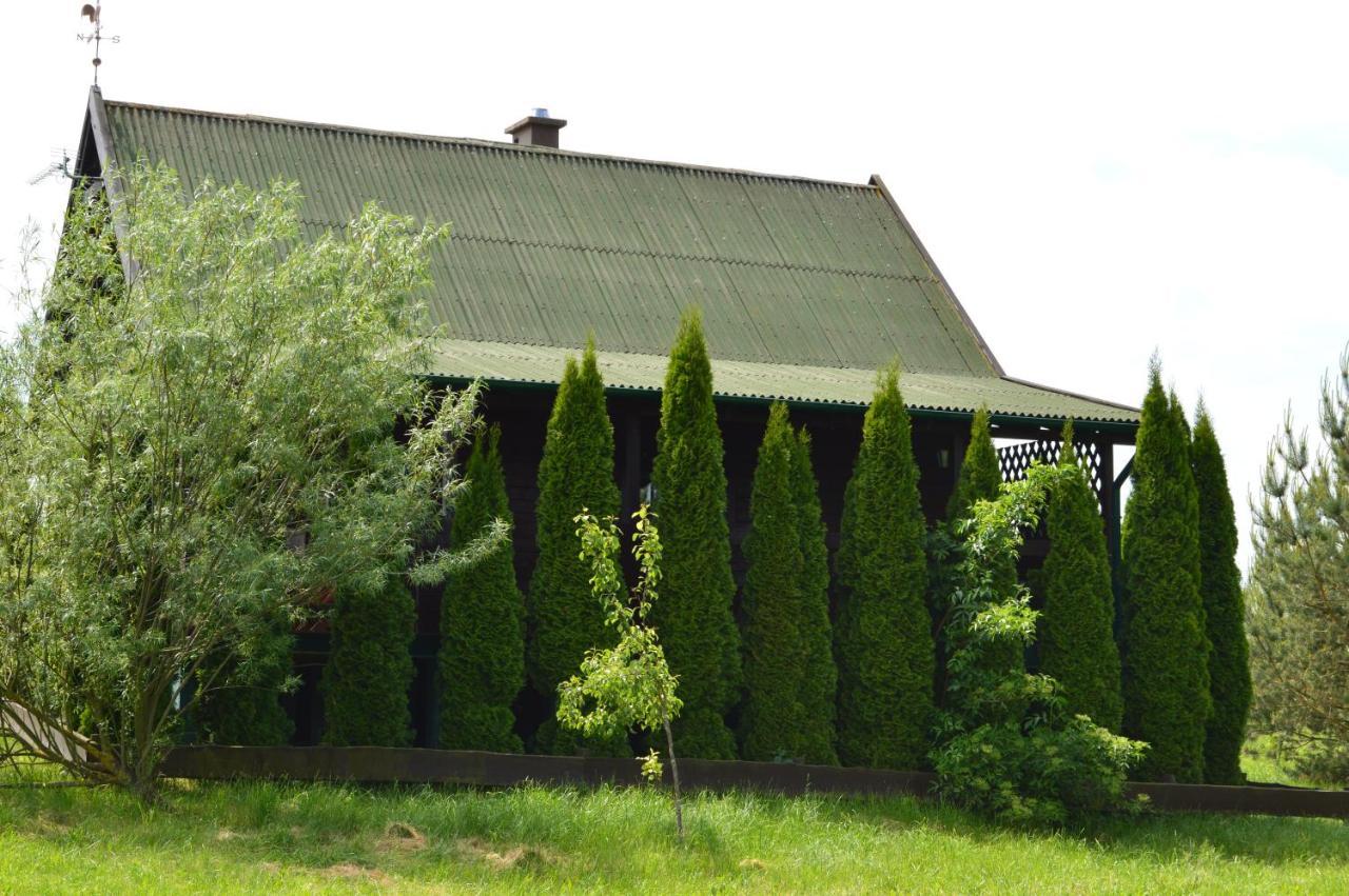 Ranczo W Naguszewie- Domek Letniskowy Naguszewo Bagian luar foto