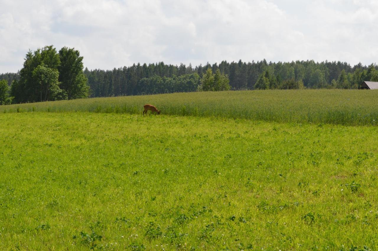 Ranczo W Naguszewie- Domek Letniskowy Naguszewo Bagian luar foto