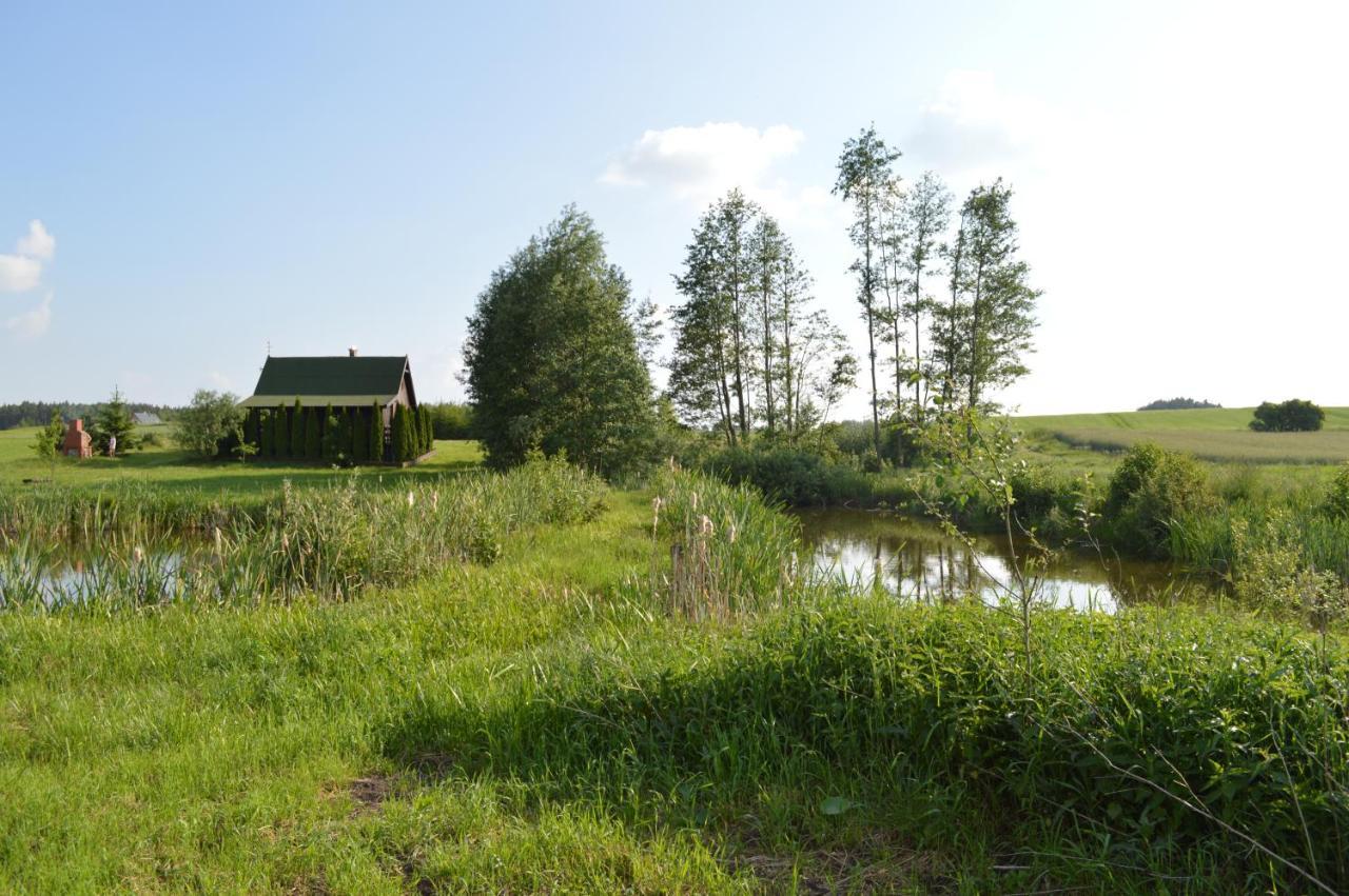 Ranczo W Naguszewie- Domek Letniskowy Naguszewo Bagian luar foto