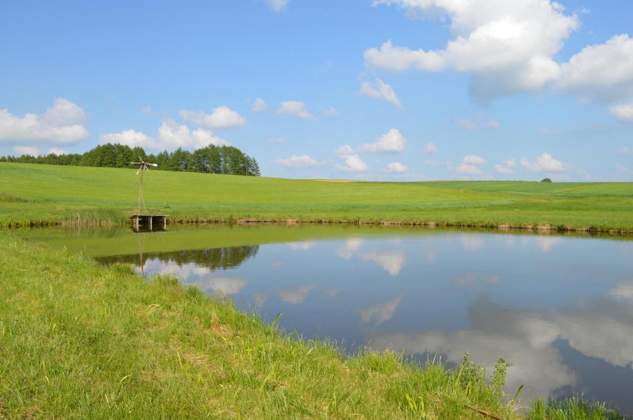 Ranczo W Naguszewie- Domek Letniskowy Naguszewo Bagian luar foto