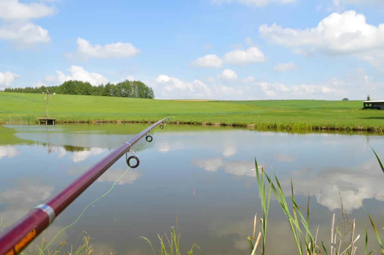 Ranczo W Naguszewie- Domek Letniskowy Naguszewo Bagian luar foto